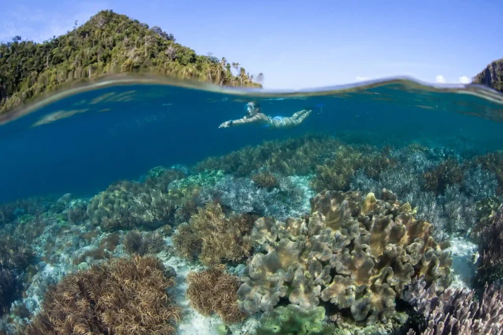 Sebayur Island Snorkeling | Komodo Island Tour | Aura Suci Liveaboard