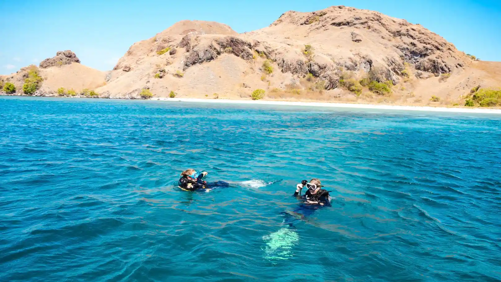 The 9 Best Komodo Dive Sites in 2027: Currents, Mantas & Macro Mapped