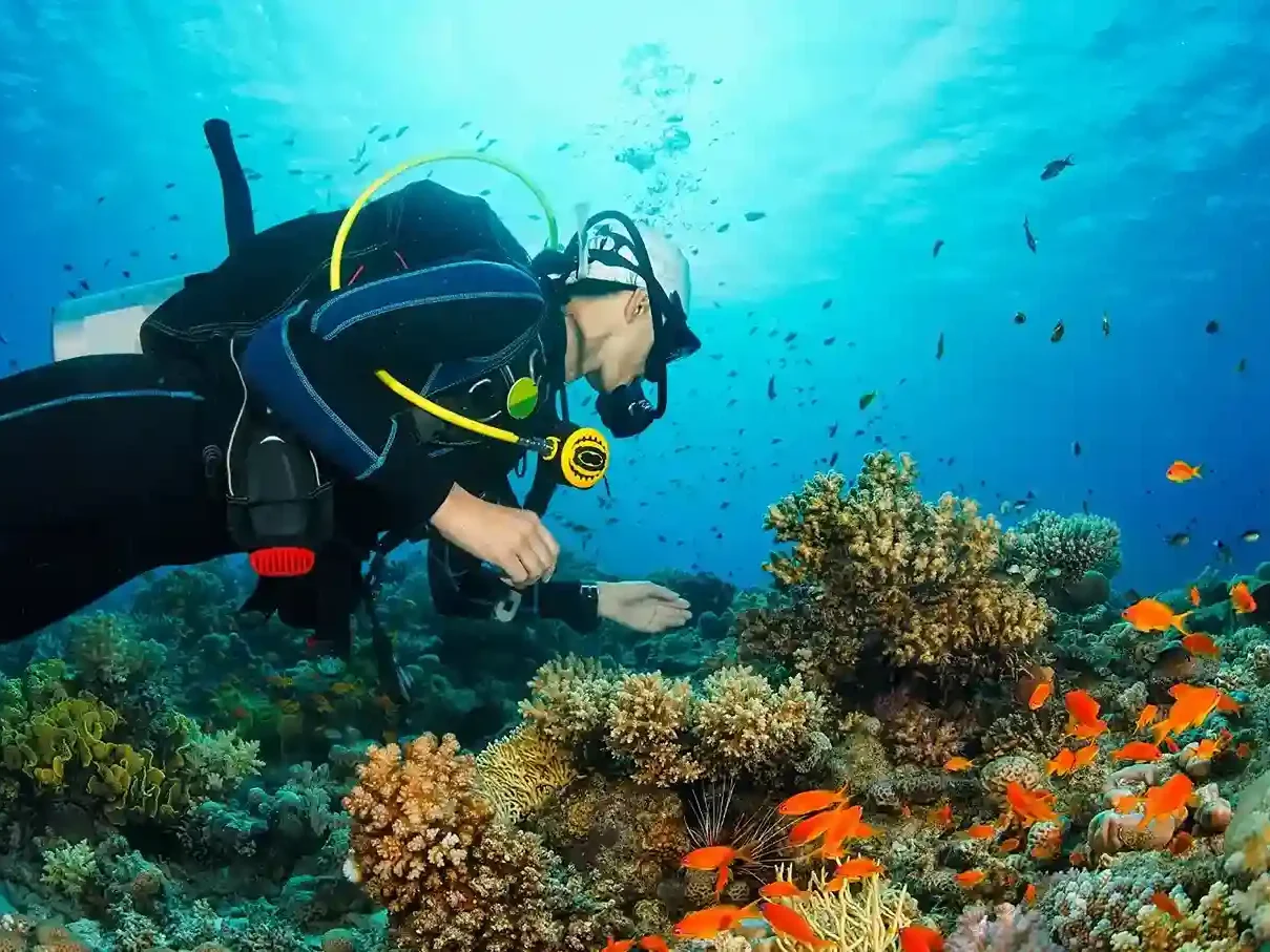 Is Komodo Diving Safe for Beginners in 2027? Currents, Levels & First Dives