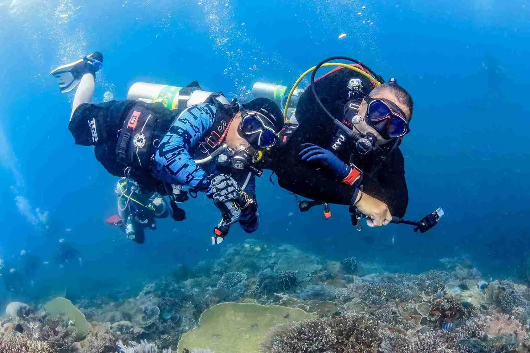 Diving the reefs of Komodo National Park